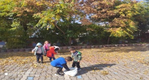 EKO OKULLAR projesi kapsamında çocukların aktif katılımlarıyla SONBAHAR BAHÇEM etkinliğimiz için yaprak, kozalak ve palamut toplandı.